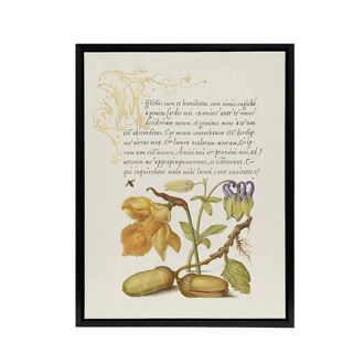 Artery8 Daffodil Flower & Oak Acorns Calligraphy Framed Canvas Wall Art in Beige | Size: W24 x H32