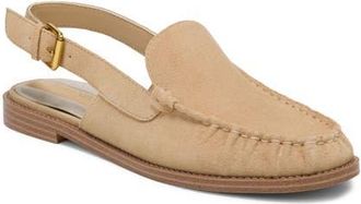 Franco Sarto Sully Slingback Loafer in Desert at Nordstrom, Size 9.5