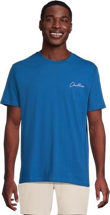 Chubbies The Navy Circle (Non Pocket Graphic T-shirt) Mens T Shirt Navy : LG, Cotton/Polyester