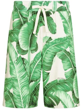 Dolce & Gabbana leaf-print cotton track shorts - Green