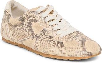 Dolce Vita Dorie Sneaker in Natural Snake Embossed Leather at Nordstrom, Size 7.5