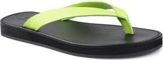 Zigi Soho Beachtime Leather Flip Flop in Lgnlt at Nordstrom, Size 11