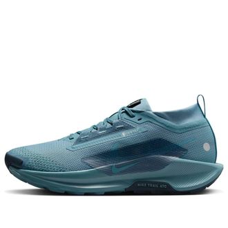 Nike Pegasus Trail 5 GTX Smokey Blue Armory Navy FQ0908-005