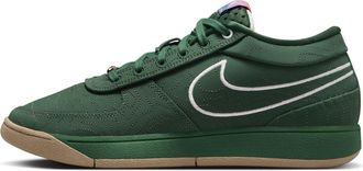 Nike Book 1 EP Flagstaff FJ4250-300