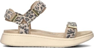 Woden Dames, Schoenen, Beige, Maat: 37 EU Su&egrave;de