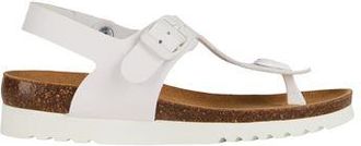 Scholl CALZATURE - Infradito su YOOX.COM