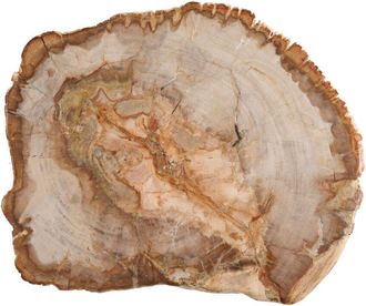 Fortessa 12in Petrified Wood Platter