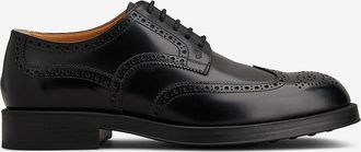 Tod's Lederderbies mit Perforation