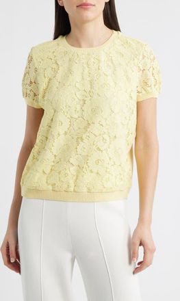Tahari by ASL Lace Front Sweater in Buttercup at Nordstrom, Size X-Large P