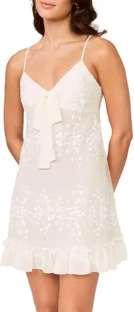 Rya Collection Tidal Embroidered Chiffon Chemise in Ivory at Nordstrom, Size Large