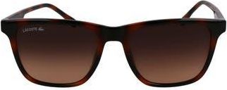 Lacoste L6041S 54mm Square Sunglasses in Havana at Nordstrom Rack