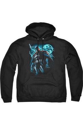 Gildan Batman Stormy Knight Adult Pull Over Hoodie / Hooded Sweatshirt