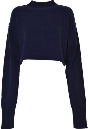 Sportmax Cropped Knit Pullover With High Collar