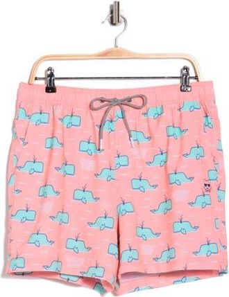 Party Pants Moby 2.0 Swim Trunks in Pink at Nordstrom Rack, Size X-Small