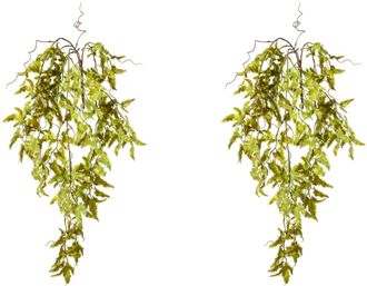 Creativ Green Kunstranke »Lygodiumhänger«