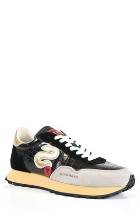 John Richmond Signature Runner Sneaker in Ivory/Black/Gold/Red at Nordstrom, Size 10