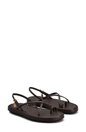 Tod's Charm Toe Loop Sandal in Palissandro at Nordstrom, Size 7Us