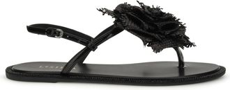 Le Silla Womens Sandals Rose Black Calf Leather