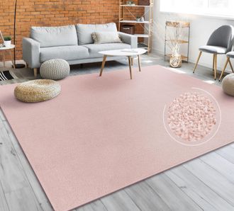 Paco Home Paco Home Alfombra Sal&oacute;n Color Liso Discreta Moderna Pelo Corto Varios Colores Y Tama&ntilde;os 160 Cm Cuadrado, Rosa