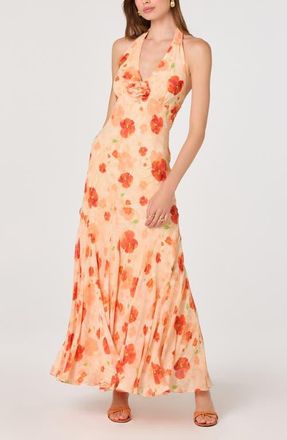 ASTR the Label Yasmen Floral Plunge Halter Neck Maxi Dress in Orange Floral at Nordstrom, Size X-Small
