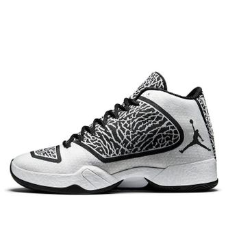 Nike Jordan Air Jordan 29 Cement 695515-070