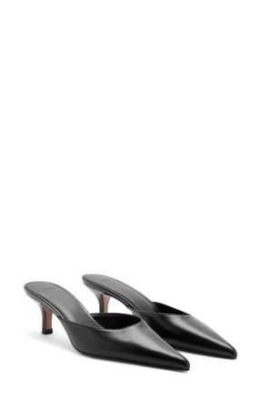Mango Pointed Toe Kitten Heel Mule in Black at Nordstrom, Size 7.5Us