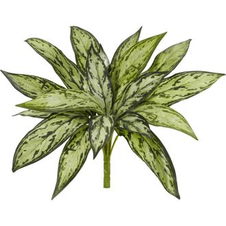 Nearly Natural 10-in Variegated Silver Queen Artificial Plant in Green at Nordstrom