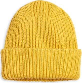 Treasure & Bond Classic Knit Cuffed Beanie in Yellow Gold at Nordstrom