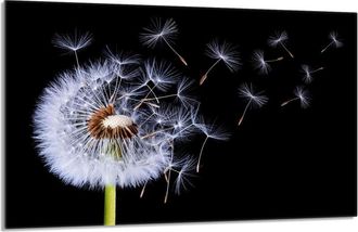 OEM Placa De Protecci&oacute;n De Estufa De Vidrio 80x52 Flor