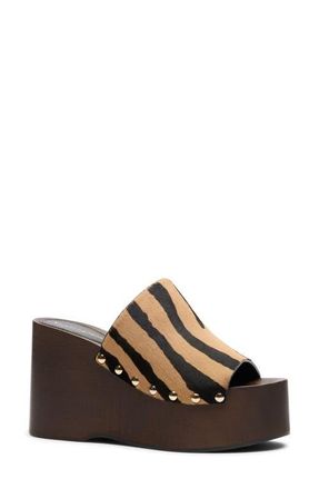Stuart Weitzman Kate Platform Wedge Sandal in New Camel /Shadow at Nordstrom, Size 9.5