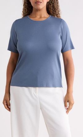 Eileen Fisher Rib Knit Stretch Organic Cotton Crewneck Top in Cold Spray at Nordstrom, Size 1X