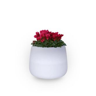 Monacis Jarr&oacute;n Luminoso De Dise&ntilde;o Moderno, &Oslash;53 H55, En Pol&iacute;mero Resistente Con Led Blanco Para Interiores Y Exteriores - Hecho En Italia - Monacis