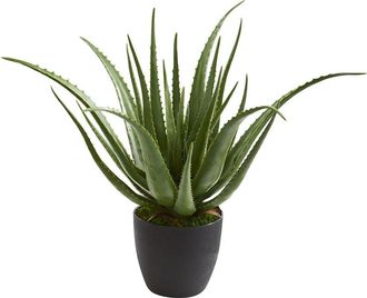 Nearly Natural Aloe Artificial Plant