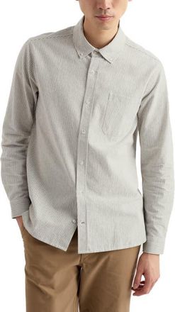 Seasalt Cornwall Jenken Stripe Organic Cotton Button-Down Oxford Shirt in Woodchopper Creek at Nordstrom, Size Xx-Large