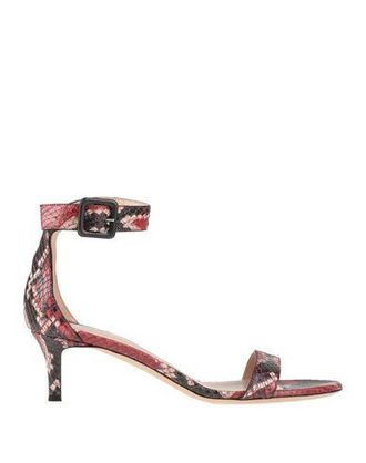 Giuseppe Zanotti CALZADO - Sandalias con cierre en YOOX.COM
