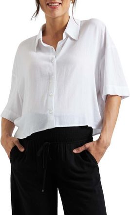 Ripe Farrah Crop Shirt in White at Nordstrom, Size Xx-Large