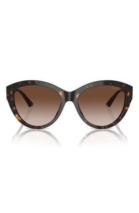 Jimmy Choo London 55mm Gradient Phantos Sunglasses in Havana /Gradient Brown at Nordstrom