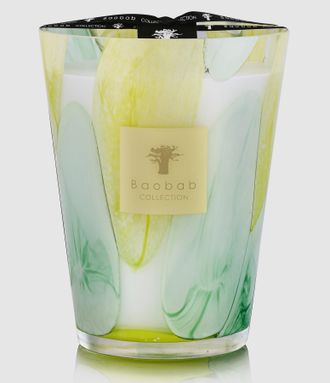 Baobab Bougie Max 24 Riviera Santo Sospir