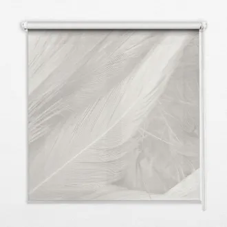 Tulup Tenda A Rullo Interna Per Finestra - Tenda Filtrante Luce - Tenda Privacy - Tenda Decorativa Rettangolare - Rullo Per Interni - (110 Cm X 140 Cm) - Pi