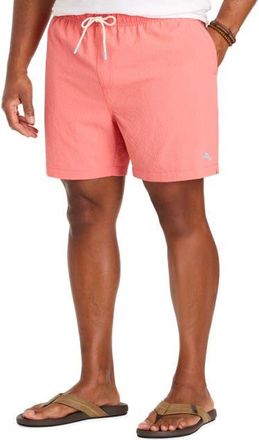 Tommy Bahama Big & Tall Naples Shore Swim Trunks in Tutti Frutti at Nordstrom, Size 3X Big