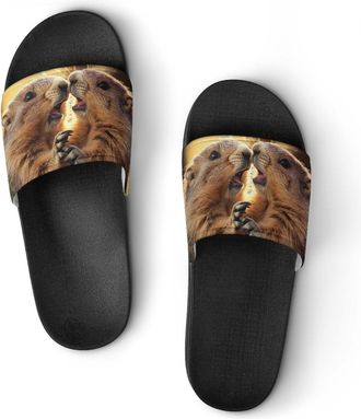 Generic Two Marmots Sunset Unisex Beach Slippers & Pool Slides Anti-Slip House Shoes for Home Outdoor
