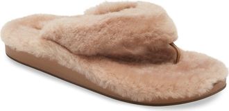 Olukai Kipea Heu Genuine Shearling Slide Sandal in Tan/Tan at Nordstrom, Size 10