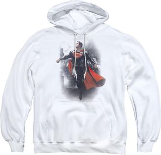 Gildan Batman V Superman A New Dawn Adult Pull Over Hoodie / Hooded Sweatshirt