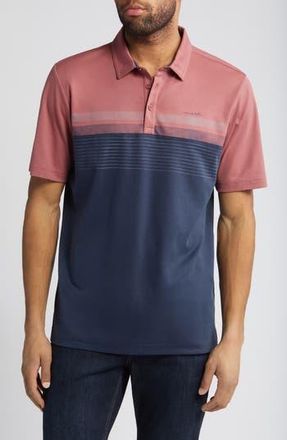 Travis Mathew Margarita Mayhem Polo in Roan Rouge at Nordstrom Rack, Size X-Large
