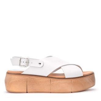 Everlane Everlane Womens The Must-Have Oxford Shirt, White/Blue, 4