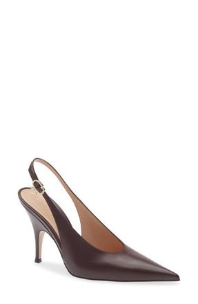 Gianvito Rossi Pointed Toe Slingback Pump in Royale at Nordstrom, Size 10.5Us