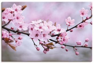 Artland Wandbild »Kirschblüten« 1 Stk. tlg. als Alubild, Outdoorbild, Leinwandbild, Poster, Wandaufkleber