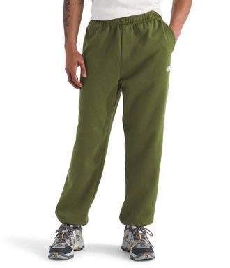 The North Face Evolution Simple Dome Pant In Woodland Green