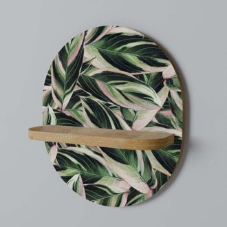 OEM Eerie Stromanthe Estante Ovalado