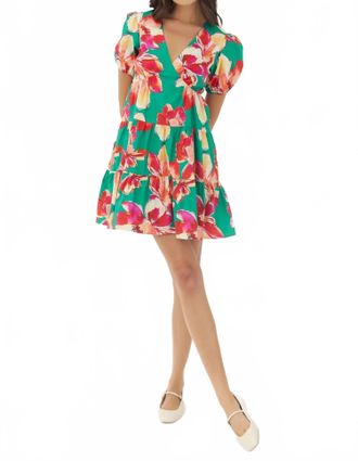 Hutch Ami Dress In Green/multi
